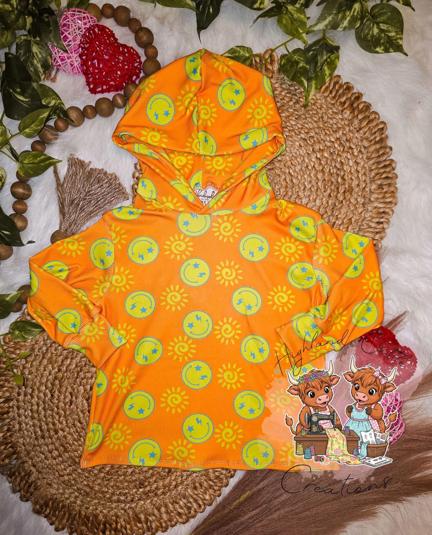 Hoodie (3T)