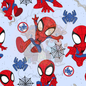 Spidey